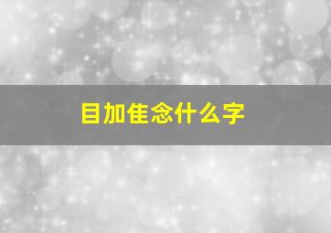 目加隹念什么字