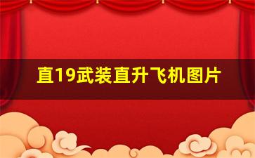 直19武装直升飞机图片