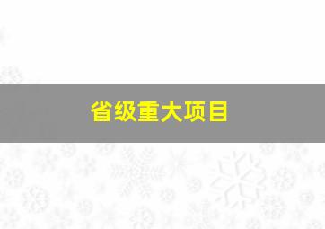 省级重大项目