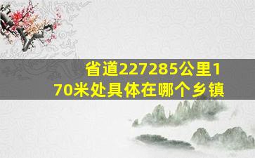 省道227285公里170米处具体在哪个乡镇