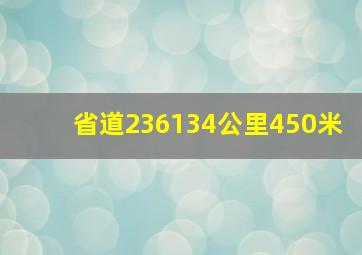 省道236134公里450米