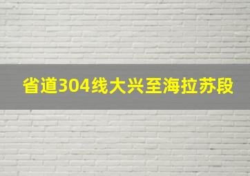 省道304线大兴至海拉苏段