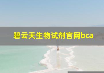 碧云天生物试剂官网bca