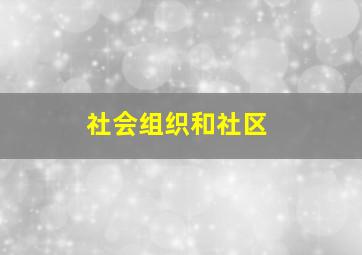 社会组织和社区