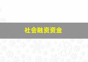 社会融资资金