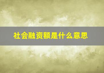 社会融资额是什么意思