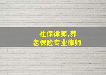 社保律师,养老保险专业律师