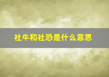 社牛和社恐是什么意思