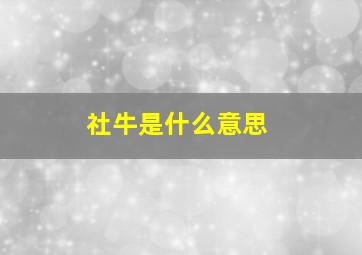 社牛是什么意思