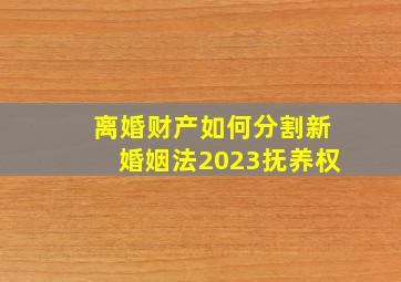 离婚财产如何分割新婚姻法2023抚养权