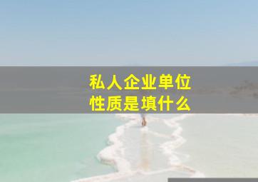 私人企业单位性质是填什么