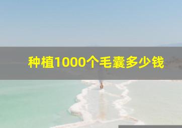 种植1000个毛囊多少钱