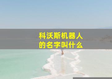 科沃斯机器人的名字叫什么