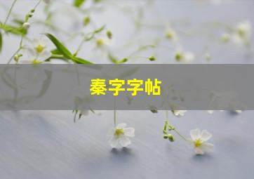 秦字字帖