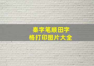 秦字笔顺田字格打印图片大全