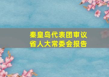 秦皇岛代表团审议省人大常委会报告