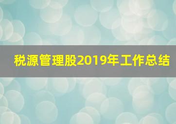 税源管理股2019年工作总结