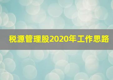 税源管理股2020年工作思路