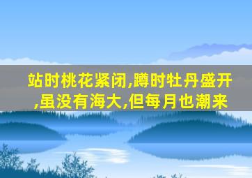 站时桃花紧闭,蹲时牡丹盛开,虽没有海大,但每月也潮来