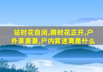 站时花自闭,蹲时花正开,户外草萋萋,户内雾迷离是什么