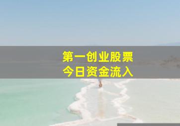 第一创业股票今日资金流入