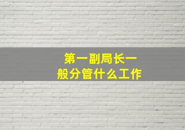 第一副局长一般分管什么工作