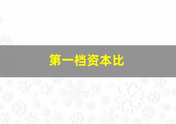 第一档资本比