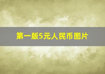 第一版5元人民币图片