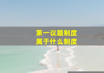 第一议题制度属于什么制度