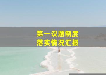 第一议题制度落实情况汇报