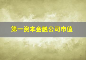 第一资本金融公司市值