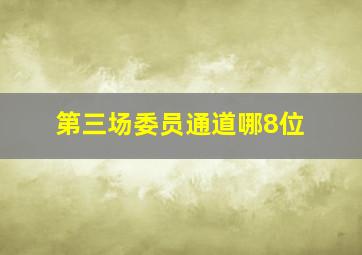 第三场委员通道哪8位