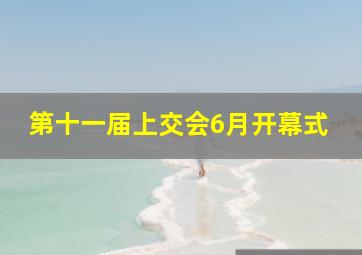 第十一届上交会6月开幕式