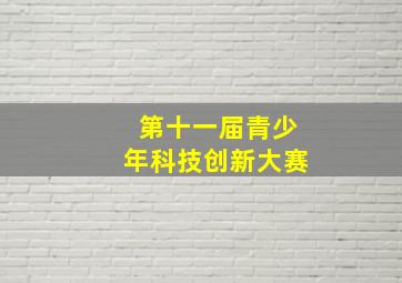 第十一届青少年科技创新大赛