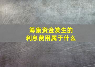 筹集资金发生的利息费用属于什么