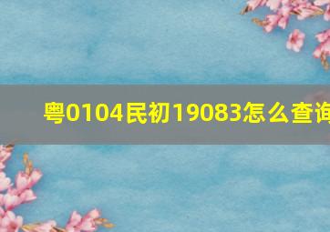 粤0104民初19083怎么查询