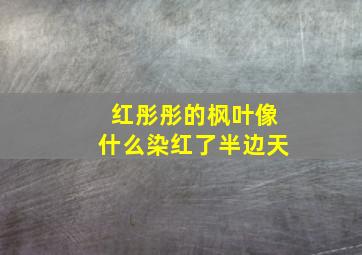 红彤彤的枫叶像什么染红了半边天