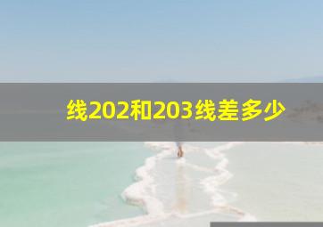 线202和203线差多少