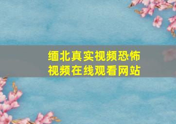 缅北真实视频恐怖视频在线观看网站