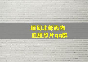 缅甸北部恐怖血腥照片qq群