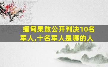 缅甸果敢公开判决10名军人,十名军人是哪的人