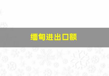 缅甸进出口额