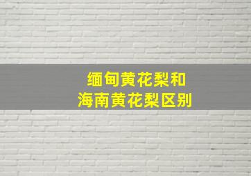 缅甸黄花梨和海南黄花梨区别