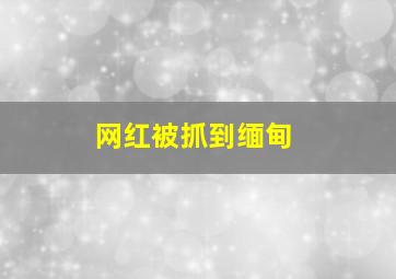 网红被抓到缅甸