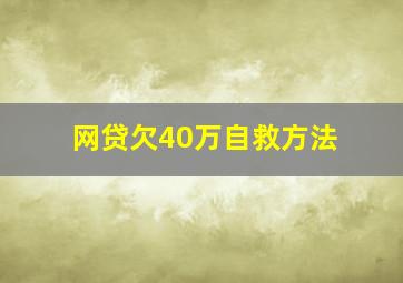 网贷欠40万自救方法