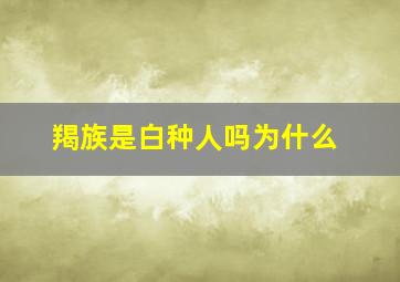 羯族是白种人吗为什么