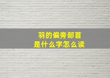 羽的偏旁部首是什么字怎么读