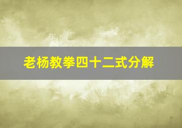 老杨教拳四十二式分解