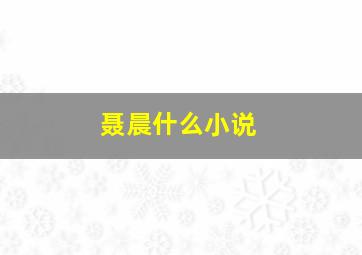 聂晨什么小说