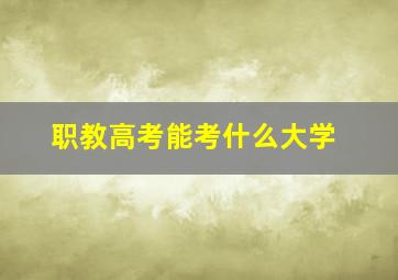 职教高考能考什么大学